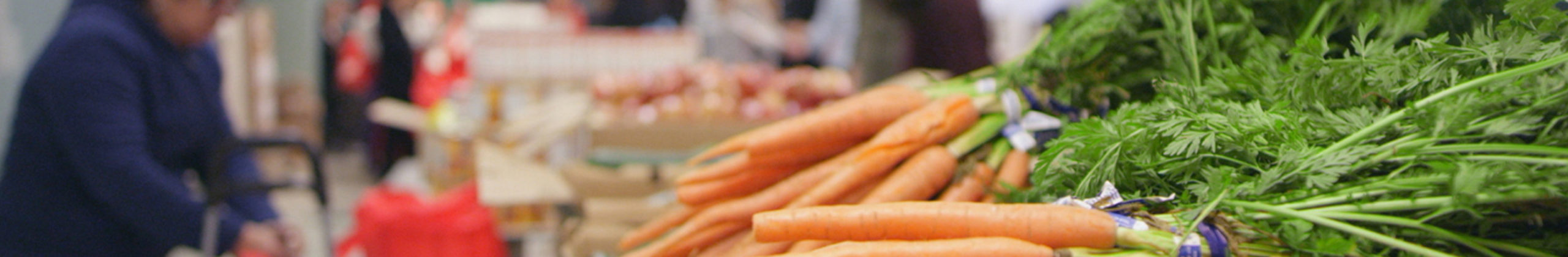 Horizontal color photo of carrots at food bank.